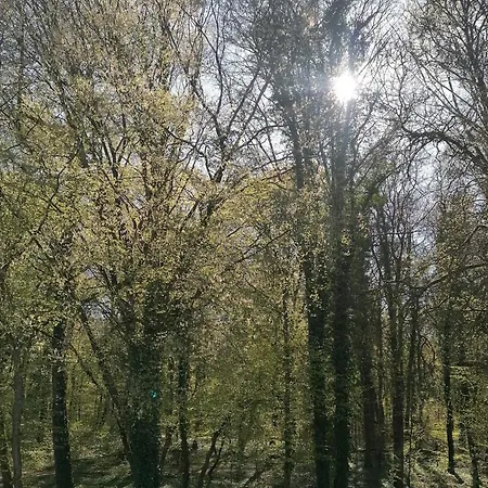 Renove En Bordure De Foret Avec Balcon Privatif - Mont-saint-martin - Fr-1-584-377